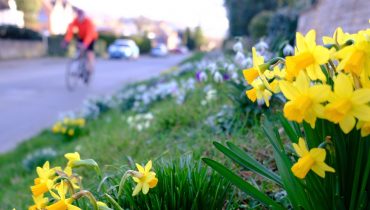 Cycling route 46